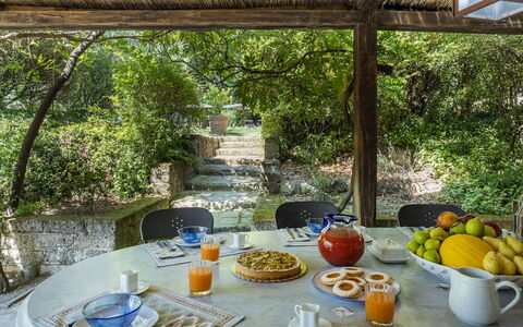 Casale le Querce di Cetona 8: Arbusto, Mobilia, Giardino, Mobili Da Esterno, Sedia, Shade, Backyard, Landscaping, Tavolo Esterno, Cucina & Sala Da Pranzo Tavolo