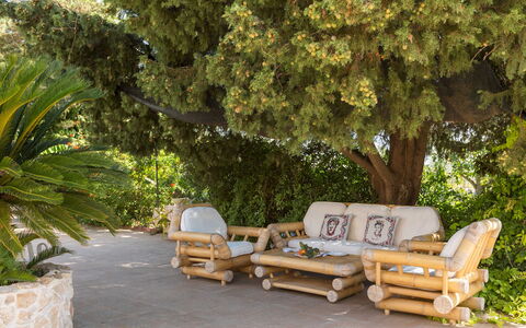 Villa i Mori 4: Mobilia, Legna, Mobili Da Esterno, Vaso Di Fiori, Sedia, Giardino, Shade, Pianta Della Casa, Landscaping, Design