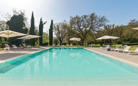 Tenuta Esdra 20: Piscina, Albero, Ricorrere, Mobili Da Esterno, Giardino, Shade, Landscaping, Eco Hotel, Estate, Prato