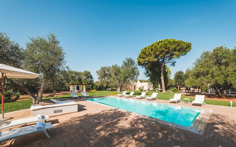 Trulli Biancapetra 8+2: Paesaggio, Giardino, Estate, Prato, Hacienda, Landscaping, Piscina, Ricorrere, Parco, Dimora