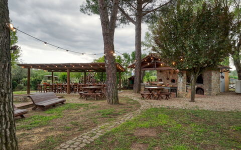 Podere Giardino 16+2: Albero, Legna, Mobilia, Shade, Tavolo Esterno, Mobili Da Esterno, Tronco, Tavolo Da Picnic, Banco, Struttura Esterna