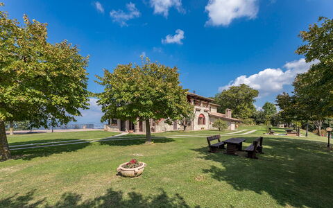 Tenuta Montiepoli 12+3: Erba, Paesaggio, Spazio Pubblico, Plain, Estate, Prato, Shade, Hacienda, Giardino, Parco