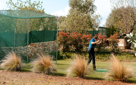 Villa Belkis 6: Arbusto, Giardino, Ricreazione, Tempo Libero, Prato, Landscaping, Giardino Botanico, Backyard
