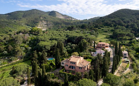 Casa del Duca 10: Albero, Ambiente Naturale, Natura, Vegetazione, Paesaggio Naturale, Paesaggio, Highland, Collina, Comunita 'Impianto, Hill Station