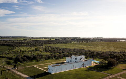 Masseria Samali 14+4: Giorno, Erba, Plain, Paesaggio, Pascolo, Lotto, Area Rurale, Estate, Campo, Prato