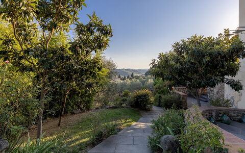 Villa Treggiaia 12+2: Vegetazione, Arbusto, Paesaggio, Comunita 'Impianto, Giardino, Luce Del Sole, Landscaping, Giardino Botanico, Chaparral