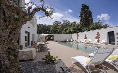 Villa Maria Paradiso 10: Casa, Materiale Composito, Estate, Shade, Calcestruzzo, Landscaping, Piscina, Cortile, Giardino, Design