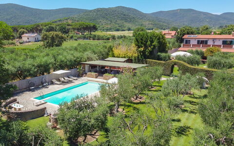Villa Castiglione 9: Ricorrere, Piscina, Eco Hotel, Giardino, Hacienda, Estate, Agriturismo, Landscaping, Shade, Villa