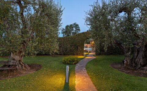Villa Castiglione 9: Foglia, Erba, Natura, Ramo, Arbusto, Giardino, Paesaggio, Tronco, Prato, Paesaggio Di Illuminazione