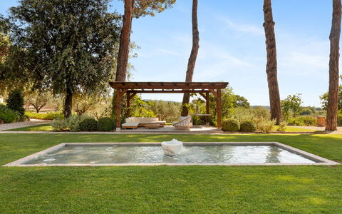 Antico Ceraso 10: Albero, Giardino, Arbusto, Lotto, Shade, Landscaping, Prato, Piscina, Backyard