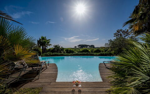 Villa Pineta 6: Blu, Piscina, Ricorrere, Eco Hotel, Tropici, Giardino, Landscaping, Resort Citta '