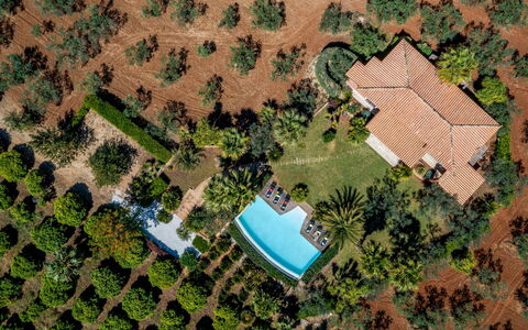 Villa Pineta 6: Albero, Piscina, Paesaggio, Ricorrere, Estate, Eco Hotel, Giardino, Landscaping, Hacienda