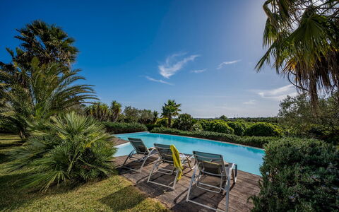 Villa Pineta 6: Blu, Verde, Albero, Piscina, Vegetazione, Ricorrere, Arbusto, Eco Hotel, Giardino
