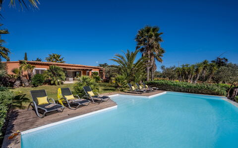 Villa Pineta 6: Blu, Ricorrere, Piscina, Eco Hotel, Shade, Tropici, Estate, Hacienda, Landscaping