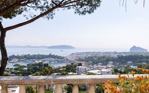 Villa Carina 12: Albero, Paesaggio, Costa, Mare, Costiera E Morfologie Oceanic, Oceano, Hill Station, Baia, Resort Citta '
