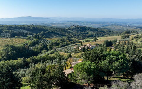 Castellare in Poggio 10: Albero, Ambiente Naturale, Vegetazione, Collina, Paesaggio Naturale, Paesaggio, Highland, Ecoregione, Comunita 'Impianto, Hill Station