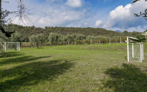 Tenuta Navelli 12+2: Erba, Albero, Pascolo, Lotto, Plain, Prato, Pascolo, Prato, Campo