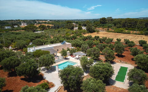 Casale di Amelì 5: Piscina, Albero, Zona Residenziale, Paesaggio, Ricorrere, Estate, Fotografia Aerea, Landscaping, Visione Globale, Eco Hotel