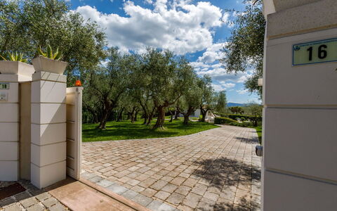 Villa Mandara 8+2: Arbusto, Giardino, Shade, Landscaping, Passerella, Parco, Backyard