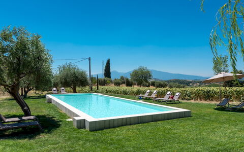 La Buona Maniera 10: Piscina, Giardino, Estate, Agriturismo, Hacienda, Prato, Ricorrere, Backyard, Cortile, Eco Hotel