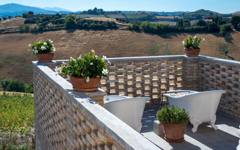 La Buona Maniera 10: Parete, Vaso Di Fiori, Mobili Da Esterno, Pianta Della Casa, Balcone, Sedia, Tavolo Esterno, Shade, Cortile, Backyard