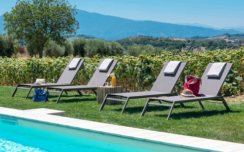 La Buona Maniera 10: Mobili Da Esterno, Lettino, Giardino, Prato, Shade, Piscina, Ricorrere, Cortile, Landscaping, Sedia A Sdraio