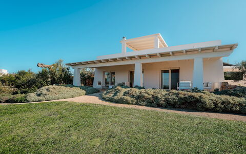 Kyvos 10: Arbusto, Casa, Lotto, Estate, Agriturismo, Giardino, Shade, Villa, Landscaping