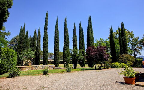 La Magia 8+2: Foglia, Verde, Arbusto, Tronco, Giardino, Woody Impianto, Landscaping, Sempreverde
