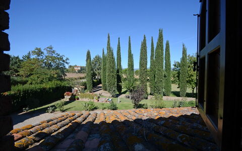 La Magia 8+2: Arbusto, Giardino, Landscaping, Sempreverde, Pine Famiglia, Hedge