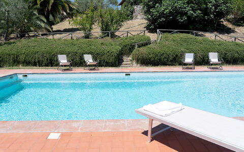 Villa la Pizzichina 10: Piscina, Ricorrere, Mobili Da Esterno, Mobilia, Lettino, Eco Hotel, Tempo Libero, Shade, Terme, Hotel
