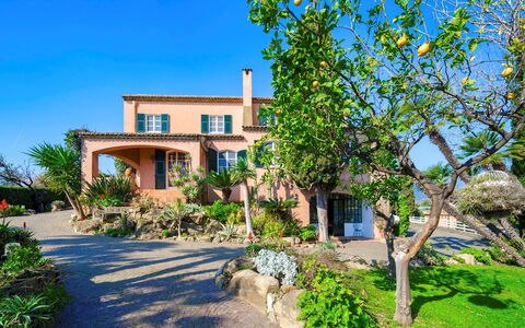 Villa la Cicaliera 10: Blu, Arbusto, Giardino, Landscaping, Hacienda, Estate, Villa, Tropici, Eco Hotel, Dimora