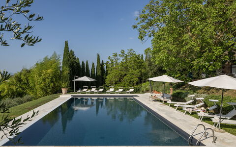 Villa la Monarca 16: Albero, Piscina, Mobili Da Esterno, Riflessione, Ombrello, Landscaping, Giardino, Lettino, Ricorrere, Shade