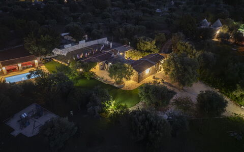 Trulli Italia 6+2: Albero, Natura, Zona Residenziale, Paesaggio, Estate, Lotto, Giardino, Ricorrere, Landscaping, Hacienda