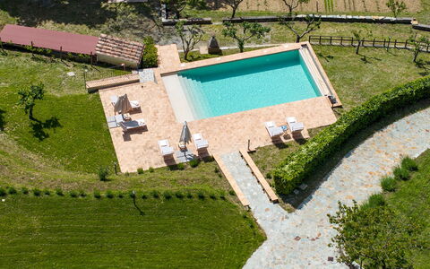 Poggio delle Lumie 6: Piscina, Giardino, Prato, Landscaping, Ricorrere, Piantagione, Eco Hotel, Backyard, Erba Sintetica, Mobili Da Esterno