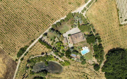 Podere Casanovina 12: Albero, Paesaggio, Visione Globale, Zona Residenziale, Fotografia Aerea, Area Rurale, Piscina, Estate, Piantagione, Landscaping