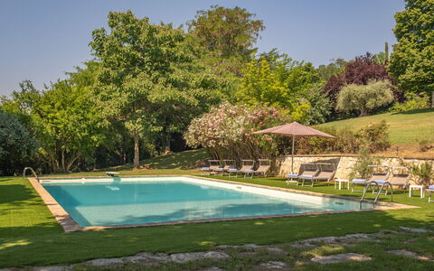 Dolce Collina 10: Albero, Piscina, Estate, Arbusto, Giardino, Tempo Libero, Shade, Estate, Prato, Landscaping