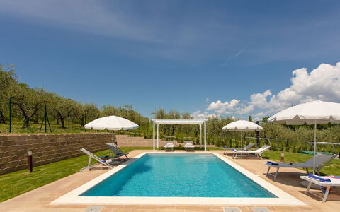 La Collina degli Ulivi 8+2: Piscina, Mobili Da Esterno, Ricorrere, Lettino, Giardino, Eco Hotel, Terme, Landscaping, Estate, Hacienda