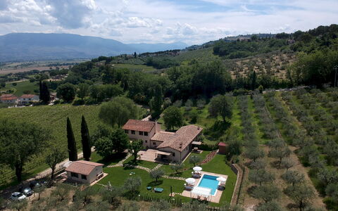 La Collina degli Ulivi 8+2: Cibo, Piantagione, Agricoltura, Estate, Visione Globale, Agriturismo, Paesino Di Montagna, Fotografia Aerea, Azienda Agricola