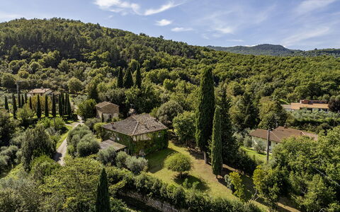 Case Novole 10: Foglia, Natura, Ambiente Naturale, Vegetazione, Paesaggio Naturale, Arbusto, Paesaggio, Foresta, Comunita 'Impianto, Highland