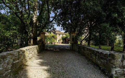 Case Novole 10: Foglia, Ramo, Arbusto, Giardino, Luce Del Sole, Shade, Estate, Driveway, Landscaping, Muro ​​Di Pietra