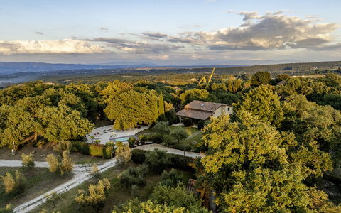 Villa Sparta 8+2: Albero, Natura, Foglia, Erba, Ambiente Naturale, Vegetazione, Paesaggio, Paesaggio Naturale, Plain