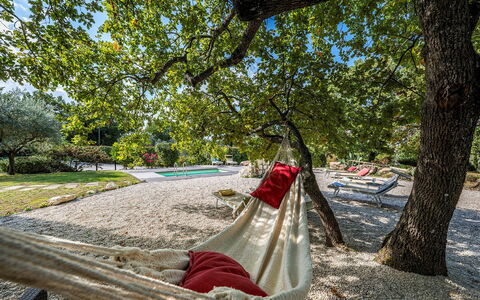 Villa Sparta 8+2: Ramo, Tronco, Tempo Libero, Primavera, Shade, Luce Del Sole, Giardino, Parco, Vacanza, Ombra