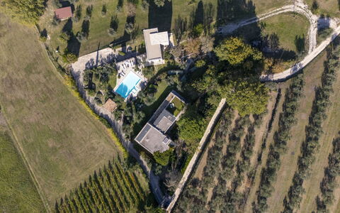 Brightline Villa 8: Albero, Zona Residenziale, Visione Globale, Paesaggio, Piscina, Fotografia Aerea, Urban Design, Estate, Landscaping, Sobborgo