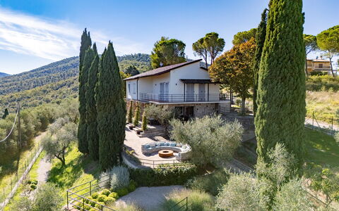 Casa dei Fiamminghi 10+2: Albero, Vegetazione, Arbusto, Comunita 'Impianto, Giardino, Estate, Landscaping, Agriturismo, Sempreverde
