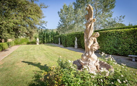 Villa Ginevra 12: Arbusto, Giardino, Groundcover, Landscaping, Ornamento Da Giardino, Prato, Giardino Botanico, Parco, Passerella