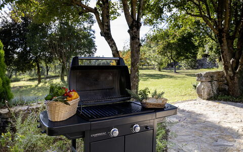 Il Castellare 14: Elettrodomestico Da Cucina, Barbecue, Cibo, Cucinando