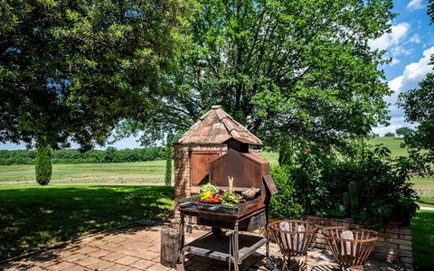 Villa le Beringhe 30: Albero, Giardino, Lotto, Prato, Backyard, Shade, Cortile, Parco, Landscaping, Struttura Esterna