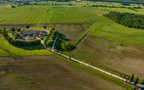 Villa le Beringhe 30: Plain, Pascolo, Paesaggio, Campo, Visione Globale, Lotto, Fotografia Aerea, Area Rurale, Piantagione, Pascolo