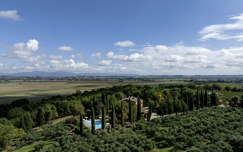 La Burraia 18: Albero, Natura, Vegetazione, Paesaggio, Lotto, Plain, Piantagione, Visione Globale, Fotografia Aerea, Landscaping