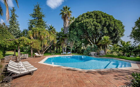 Linera 10: Piscina, Albero, Ricorrere, Shade, Eco Hotel, Giardino, Landscaping, Estate, Hacienda